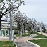 Lungomare di Riccione