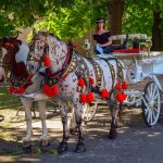 Passeggiando in carrozza per Cracovia