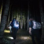 Escursione notturna nel bosco