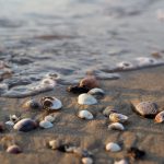 Spiaggia di Bibione