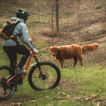 Bike tour tra i pascoli