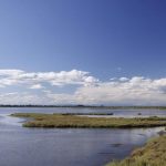 Parco naturale del Delta del Po