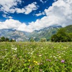 Panorama della Valtellina