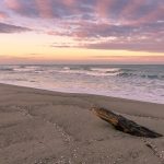 Spiaggia lungo la costa degli Etruschi