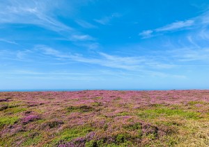 Caen - Penisola Del Cotentin - Caen (350 Km).jpg