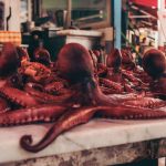 Mercato di Ballarò a Palermo [Photo by Cristina Gottardi on Unsplash]