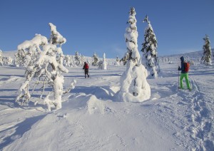 Passeggiata Nella Neve.jpg