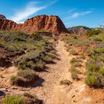 Palo Duro [Photo by Matt Brown on Unsplash]