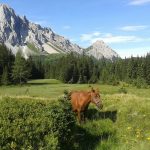 Montagna della Carnia