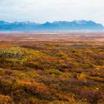 Borgarfjörður [Photo by Einar H. Reynis on Unsplash]