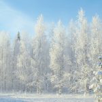 Paesaggio innevato