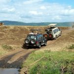 Fotosafari in jeep 4x4 in Tanzania