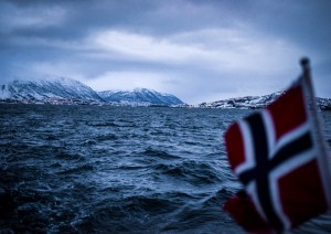 Crociera Sui Fiordi E Avvistamento Balene.jpg