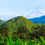 La natura lussureggiante di Guadalupa