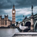 Londra [Photo by Tom Parsons on Unsplash]