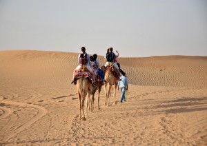 Shopping - Safari Nel Deserto.jpg