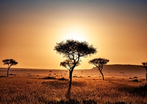 Lago Nakuru - Lago Naivasha.jpg