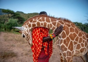 Arrivo A Nairobi .jpg