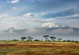 Amboseli - Kilimanjaro.jpg