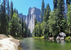 San Francisco - Yosemite (320 Km).jpg