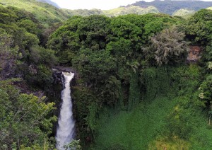 Maui.jpg