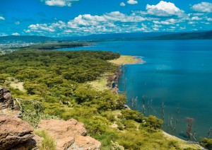 Lago Naivasha - Lago Nakuru (120 Km / 1h 30min).jpg