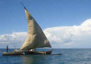 Arusha (volo) Zanzibar.jpg