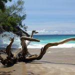 Spiaggia di Grand Anse a Praislin