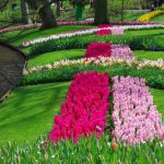 I giardini di Keukenhof