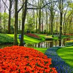 I giardini di Keukenhof