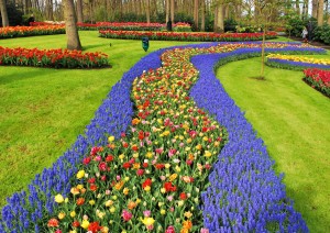 Parco Keukenhof, Mulino A Vento.jpg