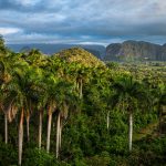 Valle di Viñales