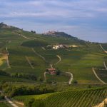 I vigneti Patrimonio Unesco