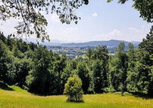 (02/07/2022)  Ljubljana .jpg