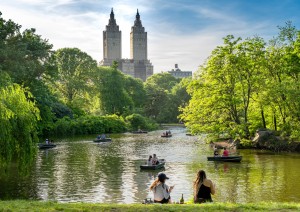 Central Park - Partenza Per L’italia.jpg