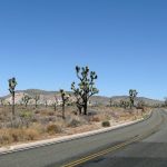 Joshua Tree National Park