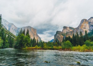 Bakersfield - Yosemite - Modesto (520 Km).jpg