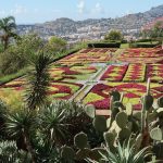 Un giardino di cactus a Madeira