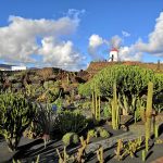 Jardín de Cactus a Lanzarote