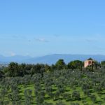 Panorama toscano [Foto di Neijhof da Pixabay]