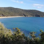 Cala Violina in Maremma [Foto di kekko87 da Pixabay]