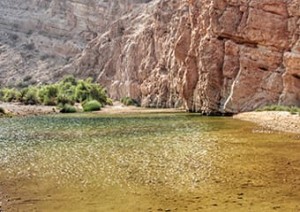 Wahiba Sands - Wadi Bani Khalid - Wahiba Sands.jpg