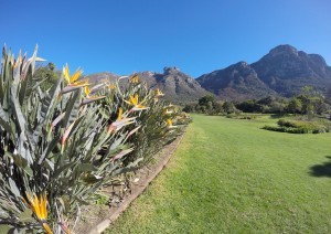 Kirstenbosch Garden - Costantia Wine Route.jpg