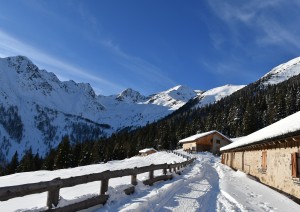 Arrivo A Brunico - San Giovanni In Val Aurina.jpg