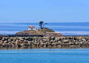 Crescent City - Coos Bay (215 Km / 2h 45min).jpg