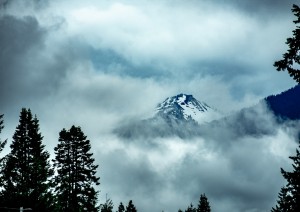 Portland - Mt St Helens - Mt Rainier Np (255 Km / 3h 50min).jpg