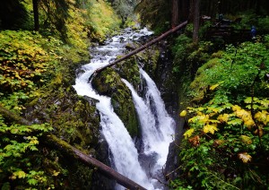 Olympic National Park.jpg