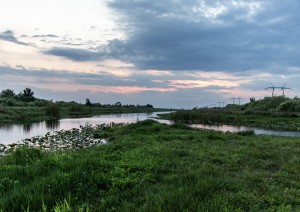 Escursione Alle Everglades.jpg