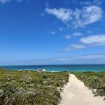 De Hoop Nature Reserve