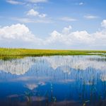 Everglades [Foto di Oliver Zühlke da Pixabay]